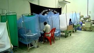 La OMS declara una epidemia de dengue en el norte de Perú