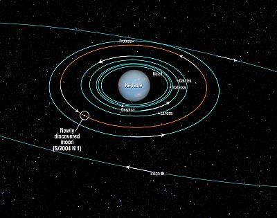 This diagram shows the orbits of several moons close to the planet Neptune. All were discovered in 1989 by NASA\'s Voyager 2 spacecraft, with the exception of Hippocamp (S/2004 N 1). It was discovered in archival Hubble Space Telescope images taken from 2004 to 2009.