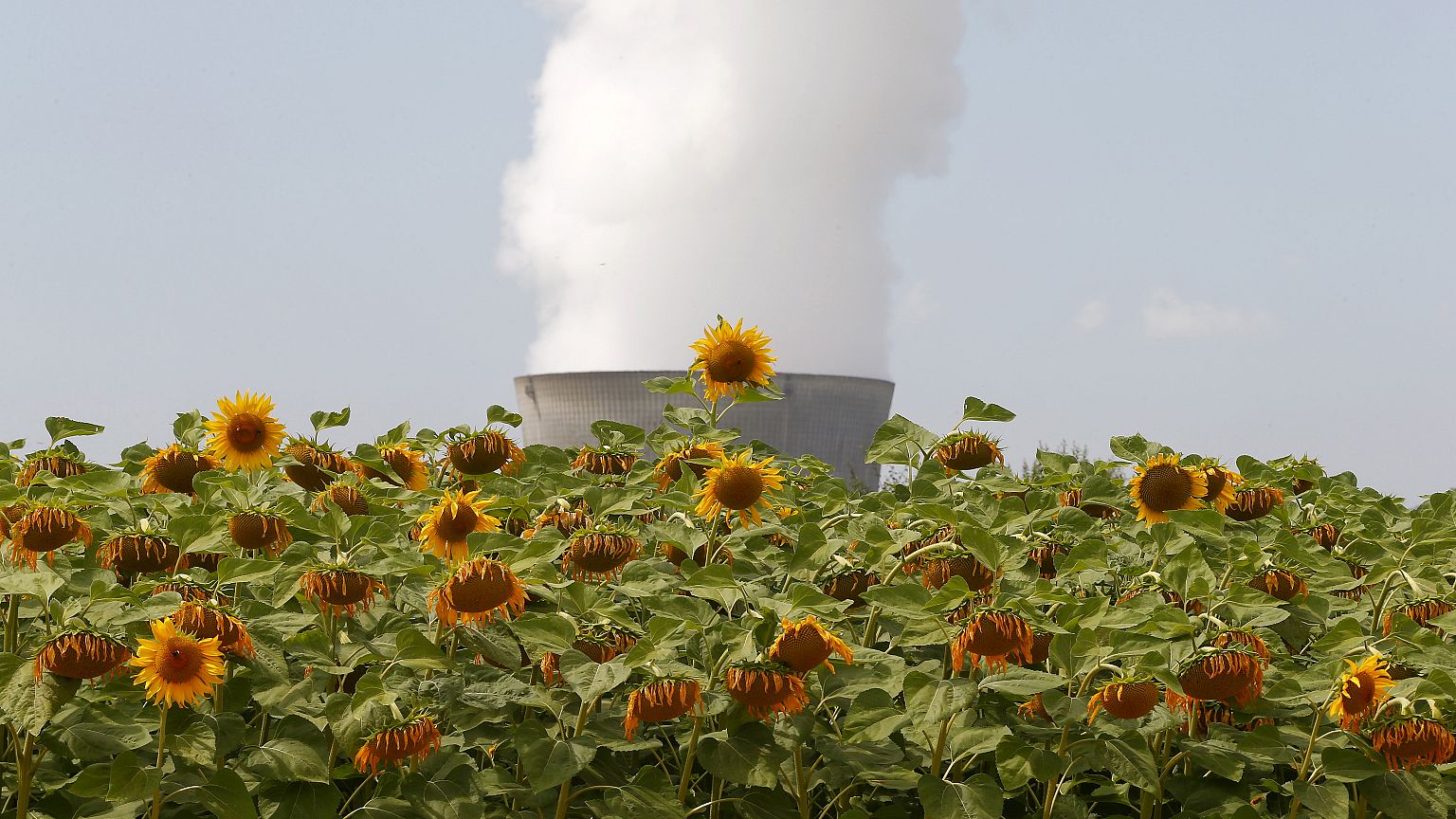 Volksabstimmung in der Schweiz: Ende der Atomkraft?