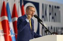 Erdogan megint pártelnök
