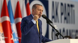 Erdogan back as head of AK Party