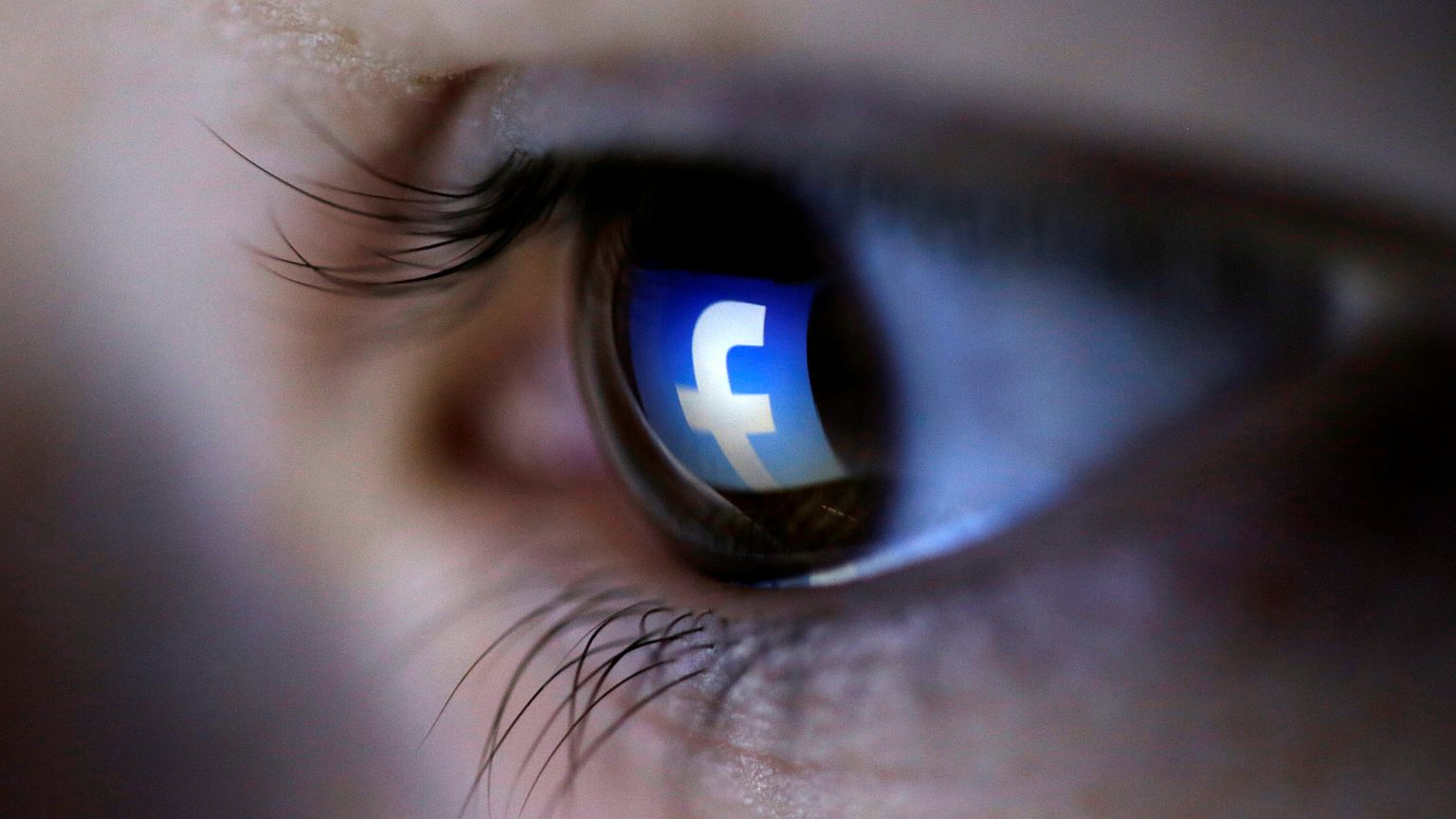 Facebook: jornal revela regras de eliminação de conteúdos sensíveis