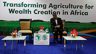 Indo-Africa relations take center stage at AfDB's AGM in Gujarat