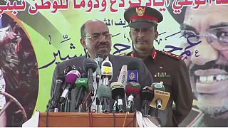 Sudan's President Omar al-Bashir accuses Egypt of arming rebels