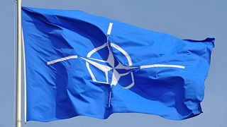 NATO’s image improves on both sides of Atlantic ahead of summit