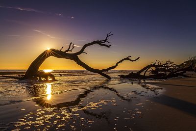 The sunrise at Driftwood Beach on Jekyll Island, Georgia.