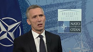 Stoltenberg: "La OTAN decide hoy unirse a la coalición contra el EI"