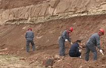 Çin'de 100 milyon yıllık dinozor fosilleri için kazı başlatıldı