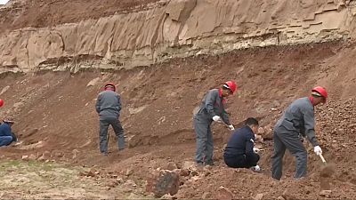 Chinese scientists start excavating large-scale dinosaur fossils
