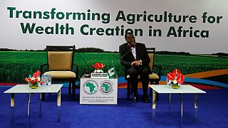 AFDB annual meeting ends with call for inclusive growth