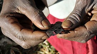FGM not a violation of anyone’s rights culturally - Liberian judicial nominee