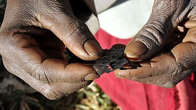 FGM not a violation of anyone’s rights culturally - Liberian judicial nominee