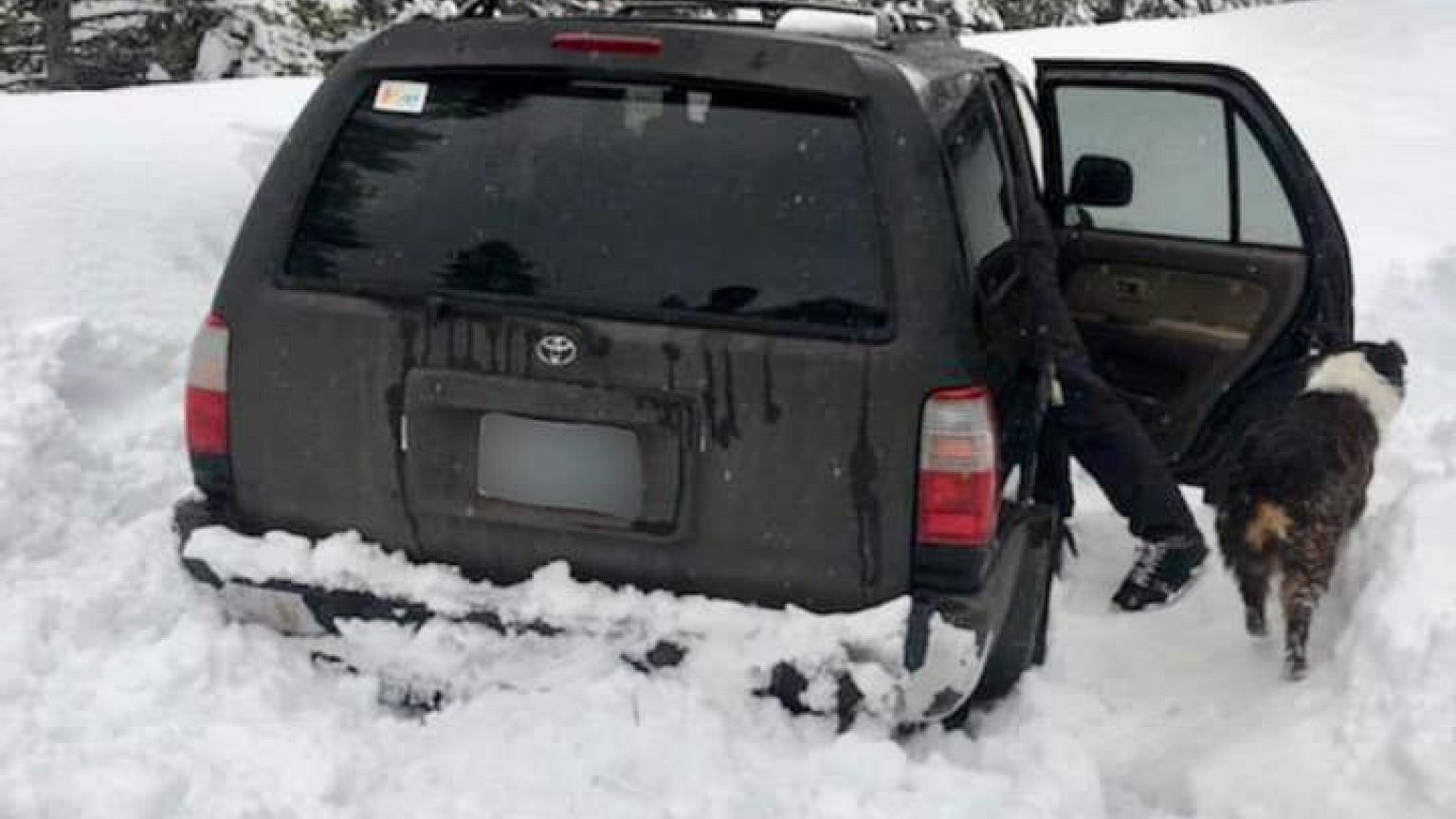 Image: Jeremy Taylor and his dog, Ally, were found alive after their vehicl