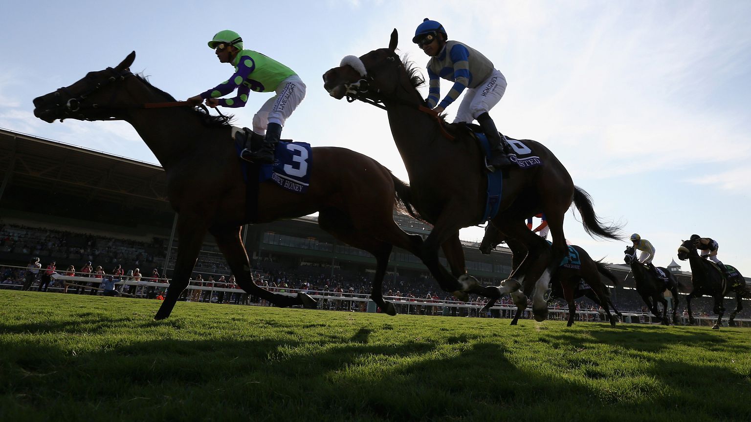 Image: Horses race at the Breeders' Cup World Championships at Santa Anita 