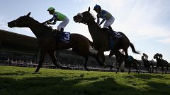 Image: Horses race at the Breeders' Cup World Championships at Santa Anita 