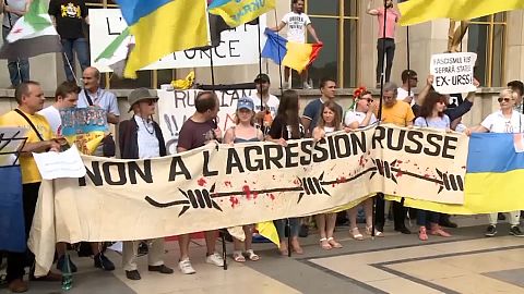 Париж: манифестанты Путину не рады
