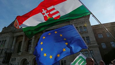 Венгры устроили мирный протест против закона об НПО