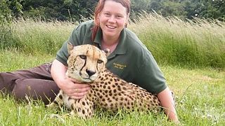 Großbritannien: Tiger tötet Zoowärterin