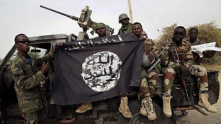 Nigerian Army reiterates Boko Haram's defeat amid disagreement