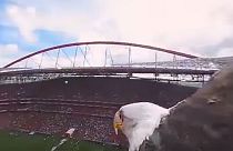 Eagle’s plunge nets 360-degree view of Benfica’s stadium