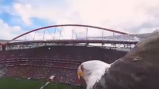Sas hátára erősített 360 fokos kamerával repülték be a stadiont
