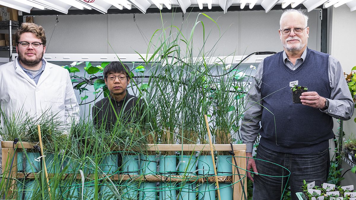 Image: The team behind the modified houseplants: Ryan Routsong, Long Zhang 