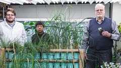 Image: The team behind the modified houseplants: Ryan Routsong, Long Zhang 
