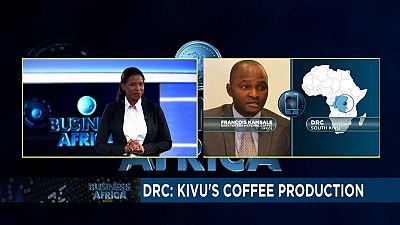 La RDC en quête de relance de la production caféière dans la province du Sud-Kivu