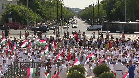 Judo-Flashmob in Budapest