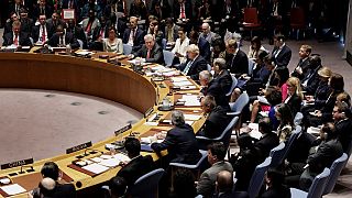 La Guinée équatoriale siège pour la première fois au Conseil de sécurité de l'ONU