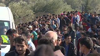 Cae una red de tráfico de migrantes en Grecia