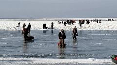 Coast Guard, local agencies rescue 46 from ice floe
