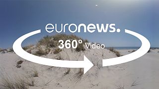 Los humedales de Europa se desertifican