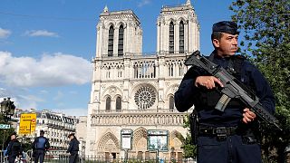 Notre Dame saldırısının görüntüleri yayımlandı