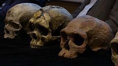 Sensationelle Entdeckung: Homo sapiens viel älter als gedacht