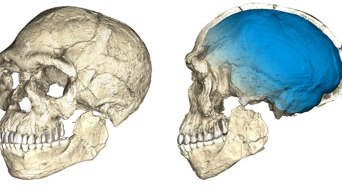 "Homo Sapiens": 105 mil anos mais antigo?