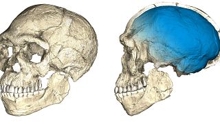 Человек разумный стал старше на 100 тысяч лет