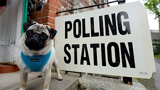 Fast schon Tradition: Hunde vor britischen Wahllokalen