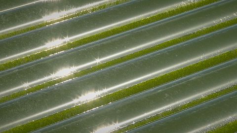 Takeaway: Harvest in sea water
