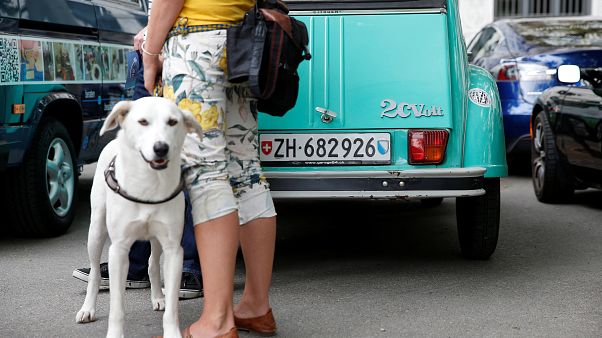 Weltgrößte Rallye mit Elektrofahrzeugen in der Schweiz Weltgrößte Rallye mit Elektrofahrzeugen in der Schweiz