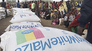 Ethiopia warns of emergency food aid shortage, 7.8m people to suffer