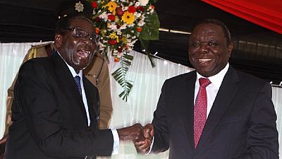 Zimbabwe's 2018 polls: a battle of good versus evil – opposition chief