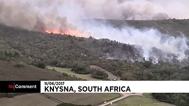 حريق ضخم في منطقة غابات كنيسنا بجنوب إفريقيا