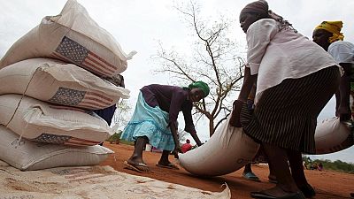 Zimbabwe bans grain imports after bumper harvest