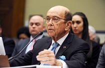 Image: U.S. Commerce Secretary Wilbur Ross testifies at a House Oversight a