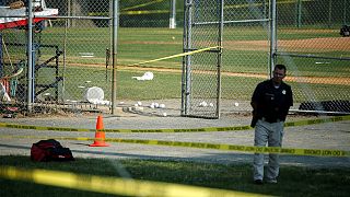 Baseball-Training: US-Abgeordneter Scalise niedergeschossen