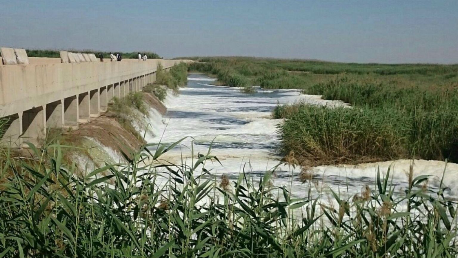 درخواست ابتکار از وزارت خارجه ایران برای نجات تالاب هورالعظیم