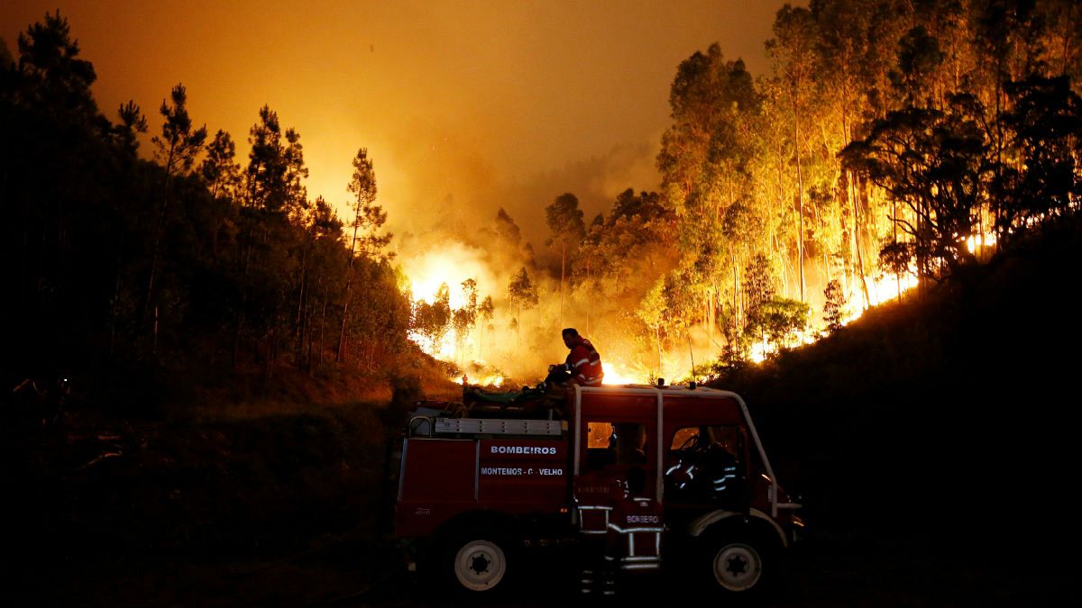 Devastating forest fire kills more than 60 in central Portugal