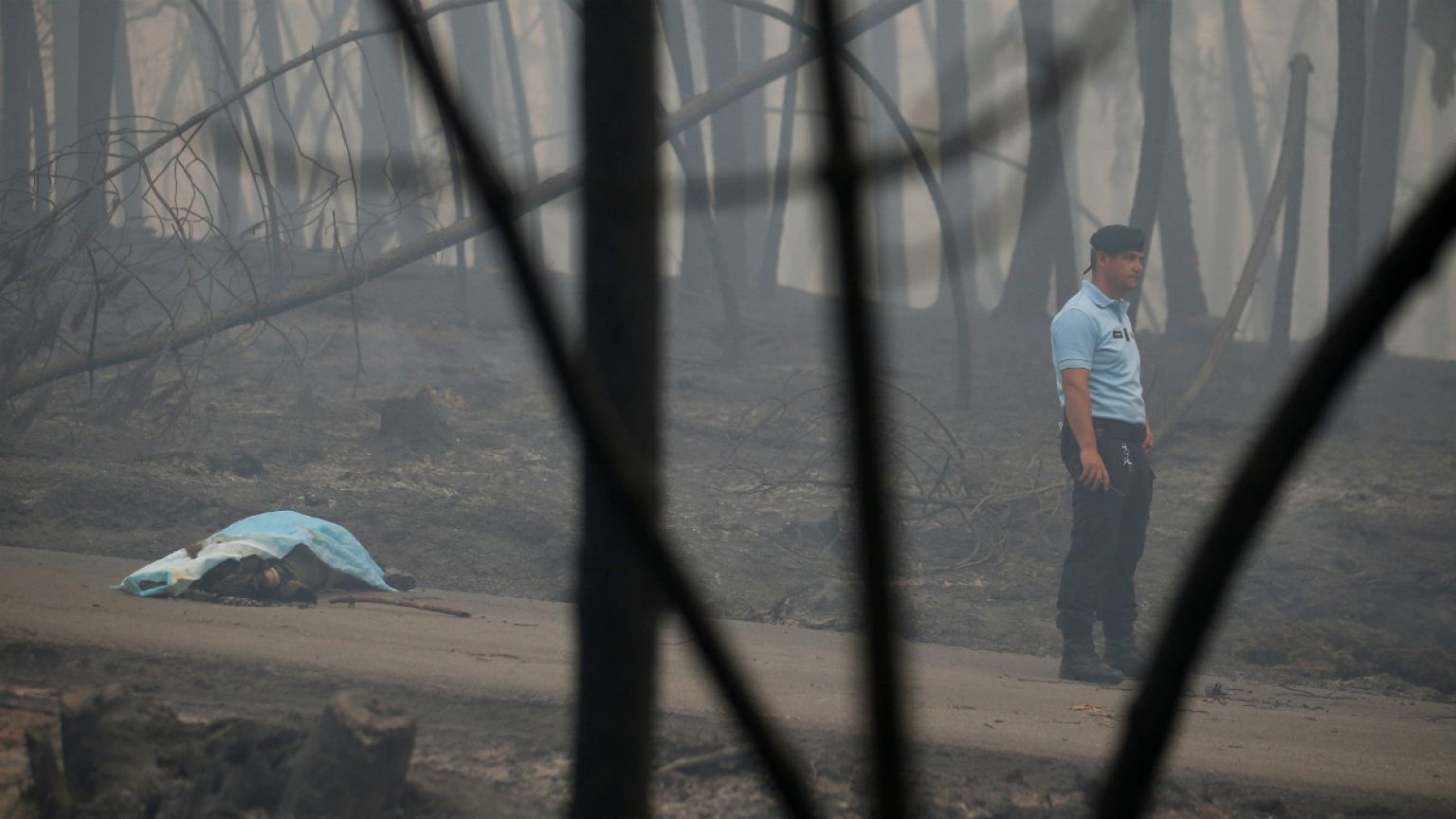 Portugal: mehr als 60 Menschen sterben in Flammeninferno