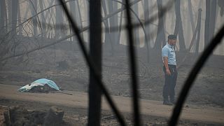 Portekiz'de orman yangını faciası